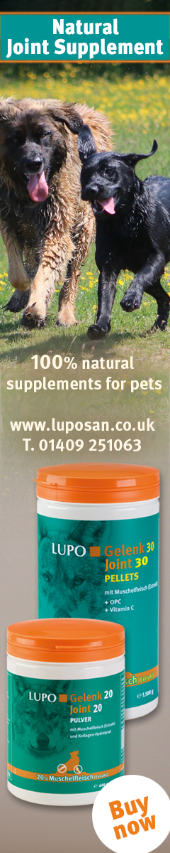 100% Natural Joint Supplements for Pets